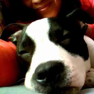 Meet your Posher, Jo anne